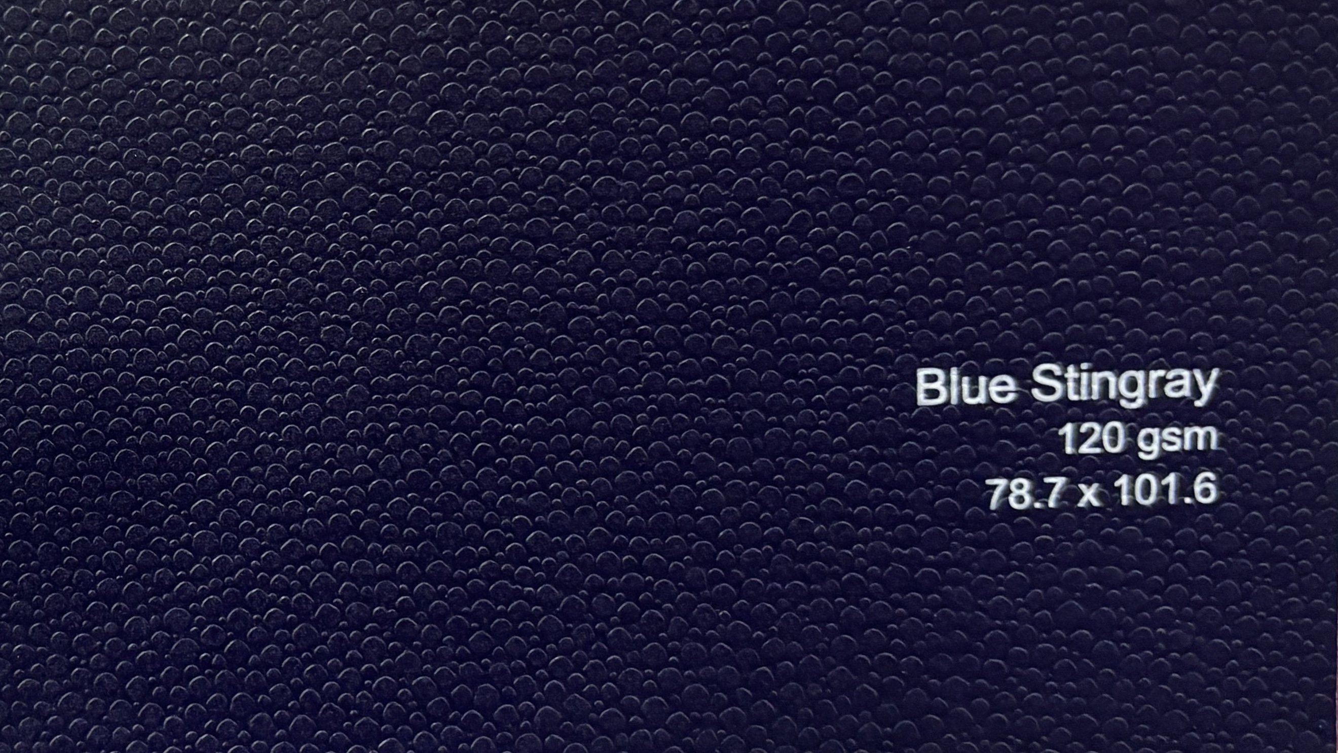 Blue Stingray 120gsm