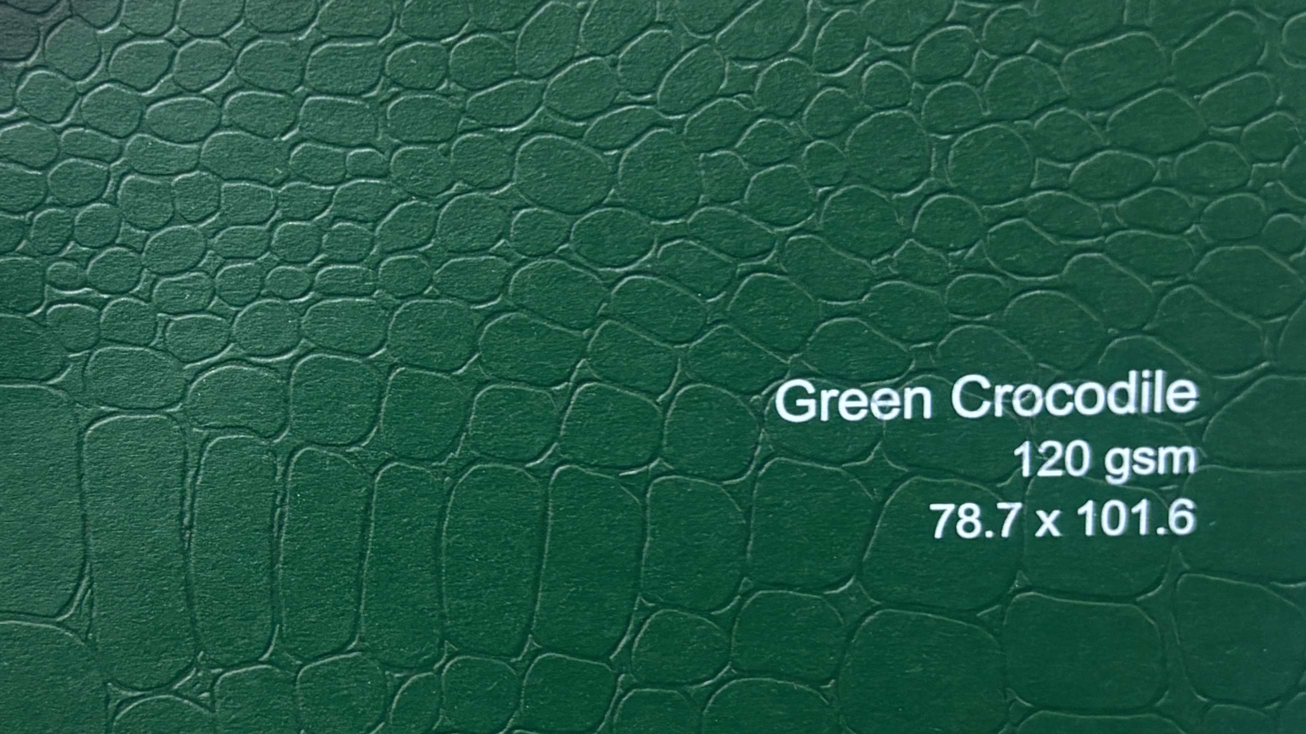Green Crocodile 120 gsm