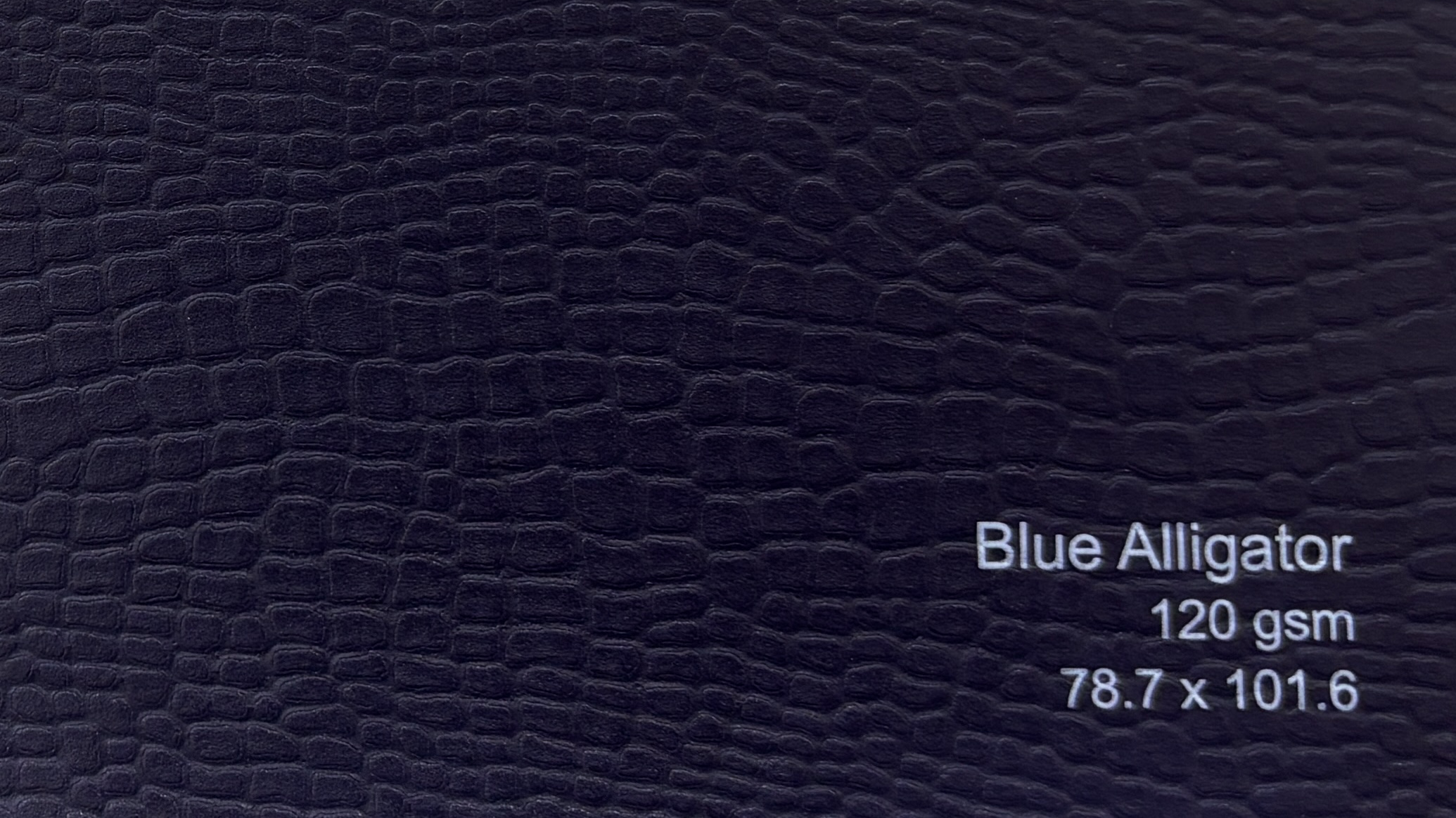 Blue Alligator 120gsm